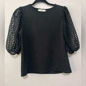 Wild Love Black Statement Sleeve Top